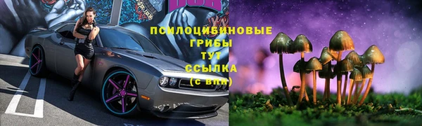 гидра Балахна