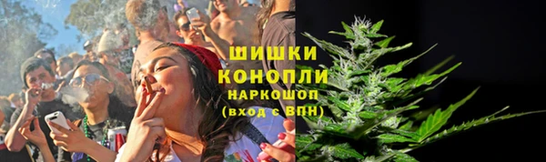 гидра Балахна